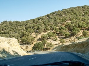Ostan Fars roads  (51)   